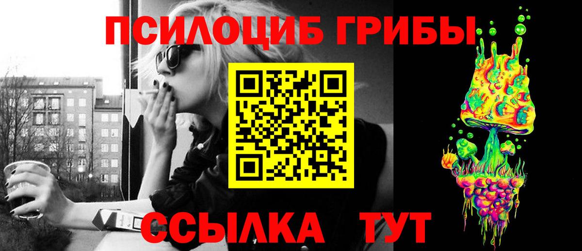 Псилоцибиновые грибы Magic Shrooms  Вход с VPN  Заречный  Псилоцибиновые грибы Magic Shrooms 